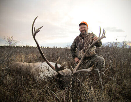 wta_147_CFILHU_012_Caribou(5)