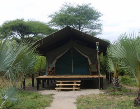 wta_1489_AILDBV_2016-08-23-PHOTO-00000021