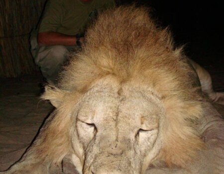 wta_1489_WUU2E5_2016-08-23-PHOTO-00000019