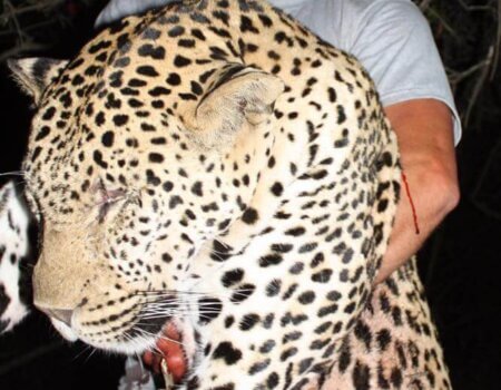 wta_1489_Y2D895_2016-08-23-PHOTO-00000036