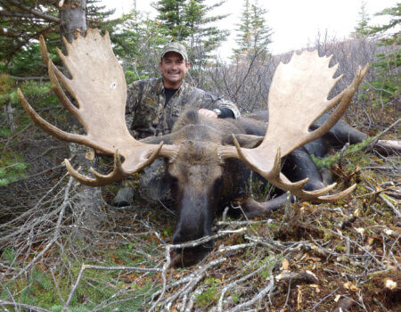 wta_148_6S8EMJ_Moose