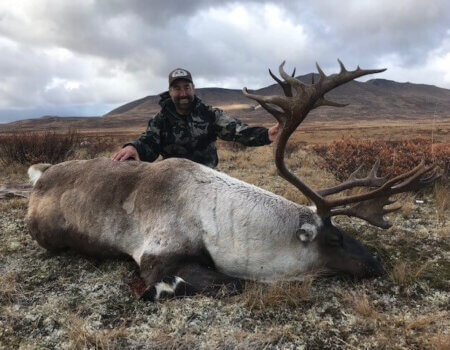 wta_148_MUUNUH_caribou