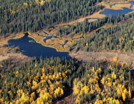wta_148_SJBGWQ_Fall2012015_edited-1