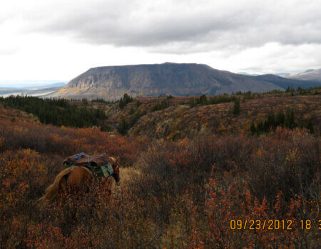 wta_148_UQSNVM_Fall2012074_edited-1