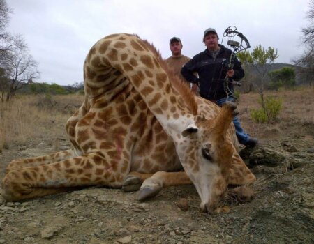 wta_1490_X4LS1B_2016-08-23-PHOTO-00000093