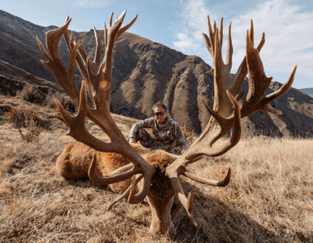 wta_1493_Venator-New-Zealand_-Red-Stag_600-700_1