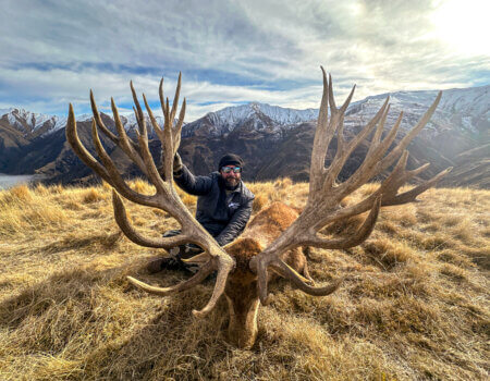 wta_1493_Venator New Zealand_ Red Stag_600-700_2