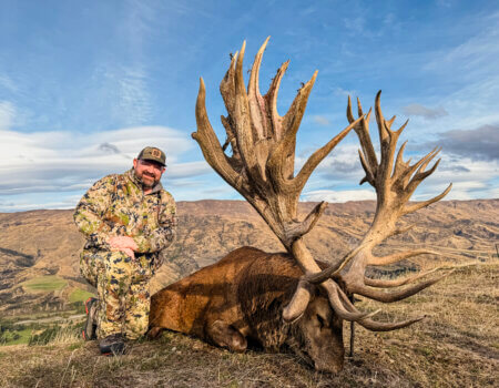 wta_1493_Venator New Zealand_ Red Stag_600-700_4