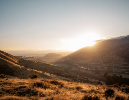 wta_1493_Venator New Zealand_Hunting_8