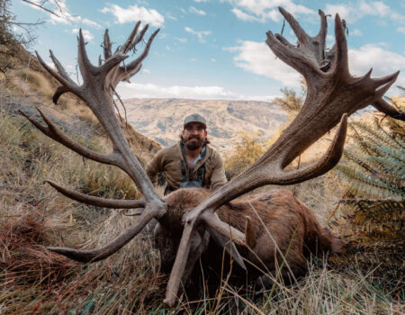 wta_1493_Venator-Venator-New-Zealand_-Red-Stag_500-600_1