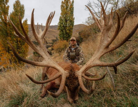 wta_1493_Venator-Venator-New-Zealand_-Red-Stag_500-600_2