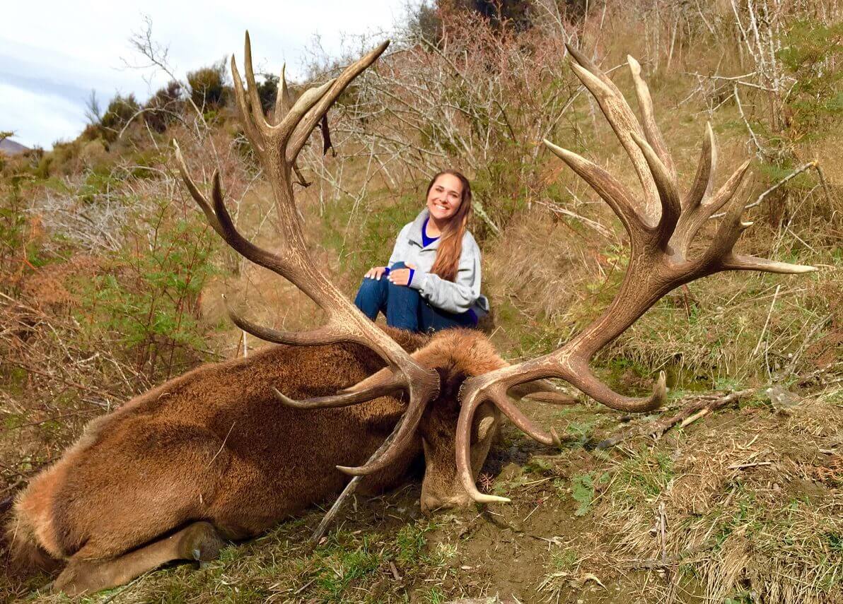 Big red stag deer antlers