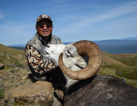 wta_149_4IID67_TahltanSheep3