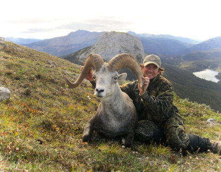 wta_149_5HODUA_012_Sheep-16