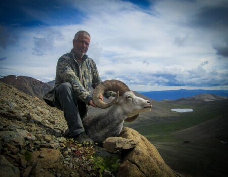 wta_149_958N01_012_Sheep-5