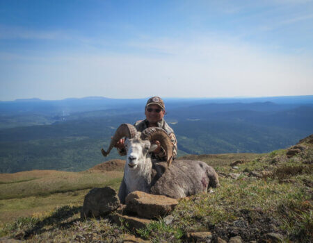 wta_149_DK54GB_TahltanSheep5