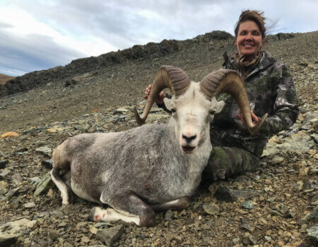 wta_149_JGF71H_TahltanSheep4