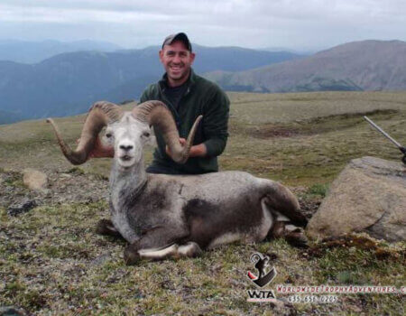 wta_149_MUDODF_012_Sheep-1