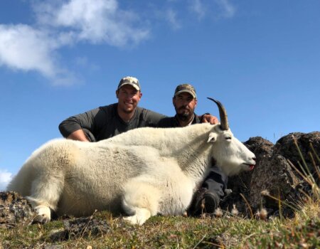 wta_149_NYN39I_goat2