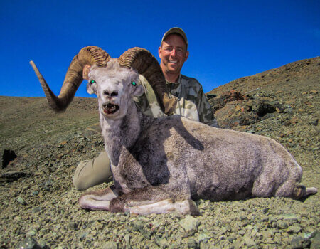 wta_149_SKTBGM_012_Sheep-24