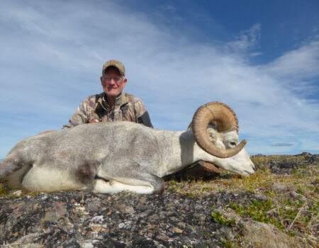 wta_149_W742B8_TahltanSheep6