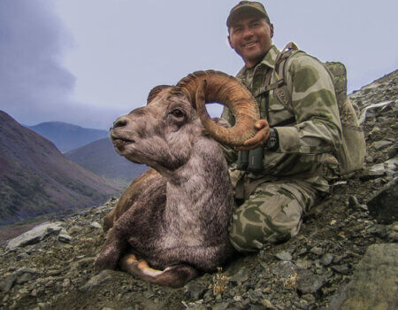 wta_149_WR8ZGT_012_Sheep-23