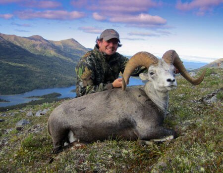 wta_149_Z1XI7R_012_Sheep-18