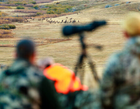 wta_1503_9NVFAP_B97I8260