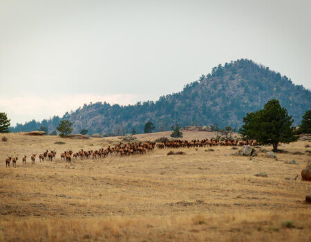 wta_1503_SMQLTH_B97I8356