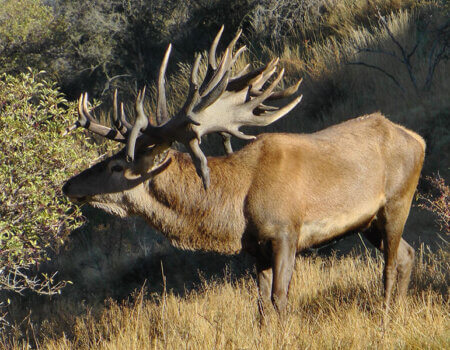 wta_1505_3A1WFY_S1670040