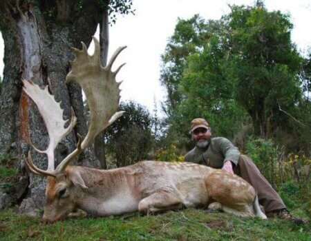 wta_1505_65MLLS_Cardonaflw