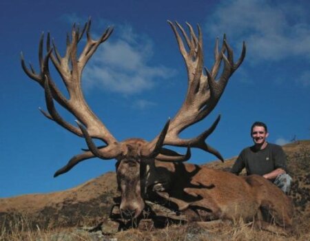 wta_1505_6HJOD4_CardonaSaf