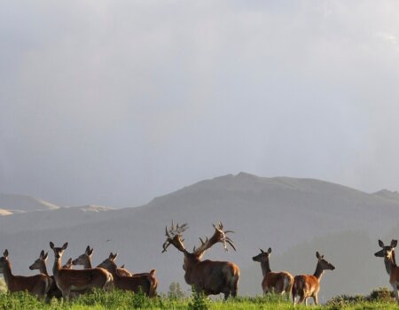 wta_1505_6J1M30_Image