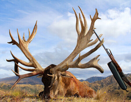 wta_1505_6LMU9R_IMG_1367