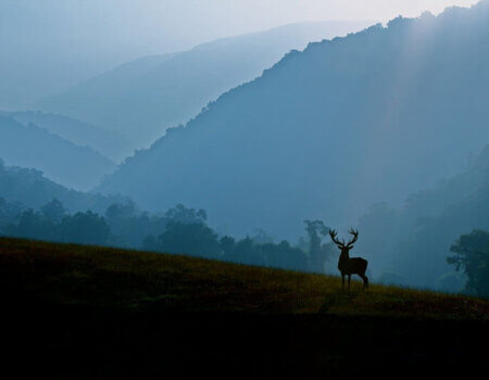 wta_1505_827GEJ_Image3-2