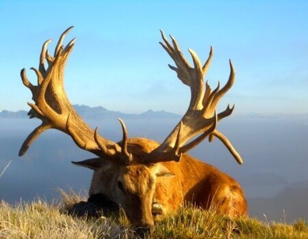 wta_1505_B6KEF9_CIMG3843