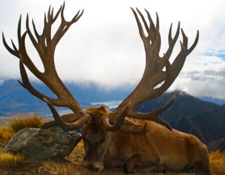 wta_1505_GJUSNK_mtcookmtcook082