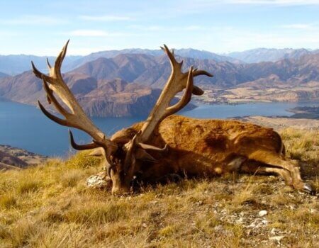 wta_1505_NA0UDX_Hotlake