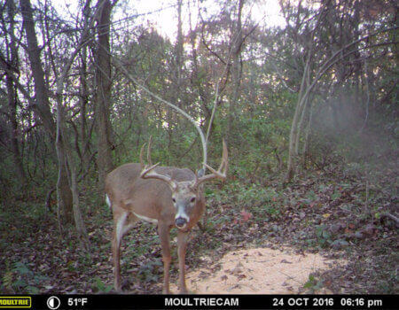 wta_1512_2XKRJ8_MFDC6345copy