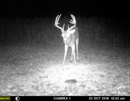 wta_1512_9BOF6G_MFDC8068copy