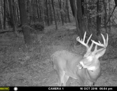 wta_1512_B0E1PP_MFDC5717copy