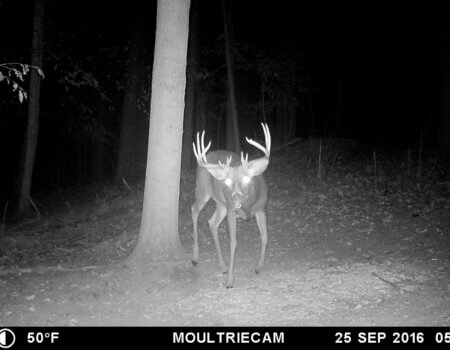 wta_1512_C6HWFF_MFDC3672copy