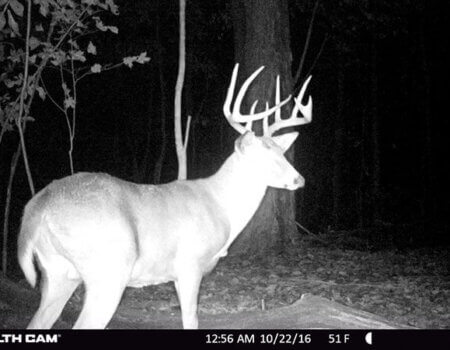 wta_1512_C7TD2C_STC_0125copy