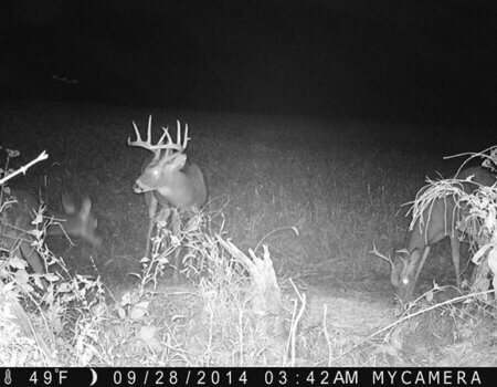 wta_1512_L1B9JI_PICT0373copy