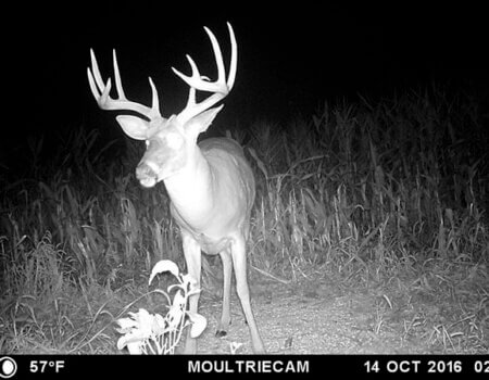 wta_1512_OC69JN_MFDC7078copy