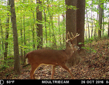 wta_1512_RCWWPQ_MFDC4666copy