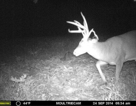 wta_1512_RN70K8_MFDC9175copy