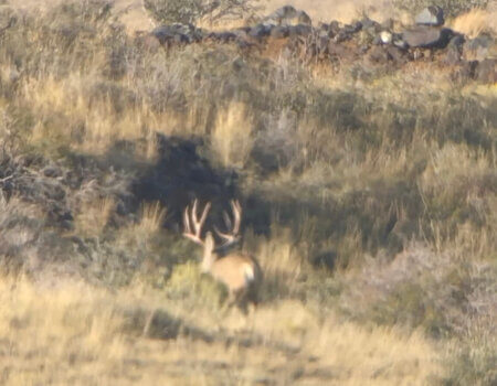 wta_1513_UT9QY9_IMG_4098