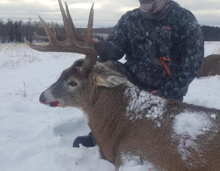 wta_1518_D679R9_Buck2