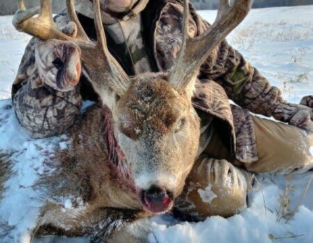 wta_1518_YJB083_Buck3